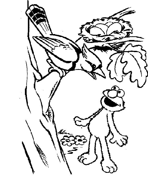 coloriage 1 rue sesame elmo et l oiseau